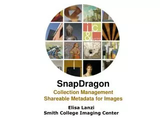 SnapDragon Collection Management Shareable Metadata for Images