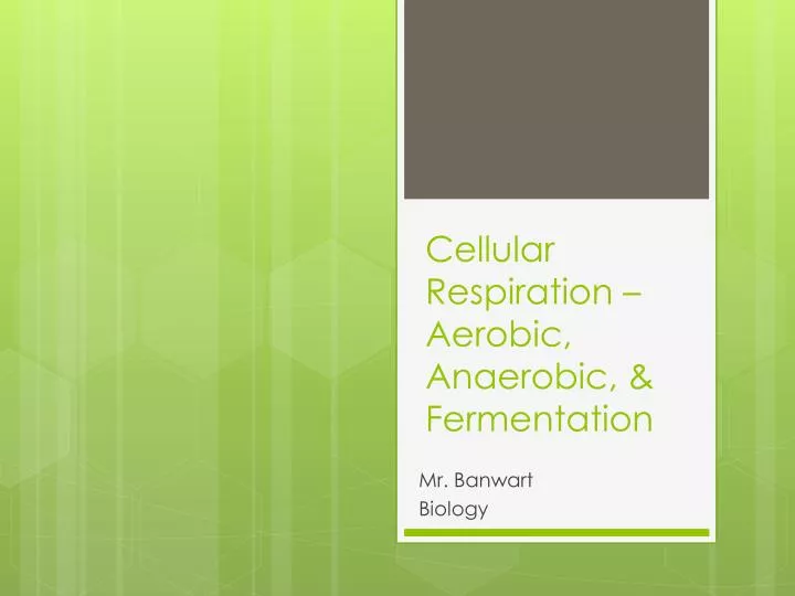 cellular respiration aerobic anaerobic fermentation