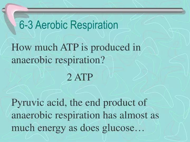 6 3 aerobic respiration