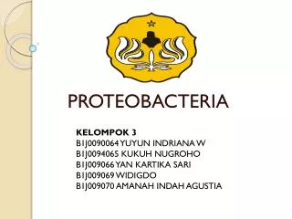 proteobacteria