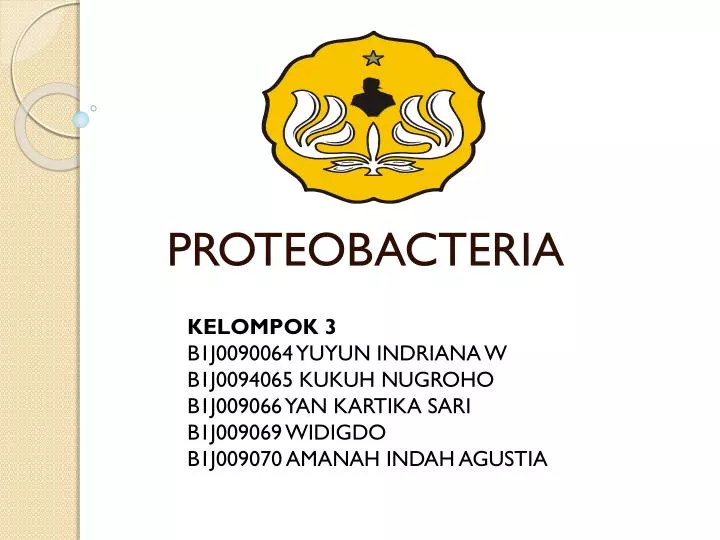 proteobacteria