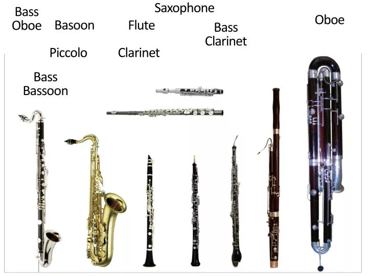 PPT - Bass Clarinet PowerPoint Presentation, free download - ID:5459143