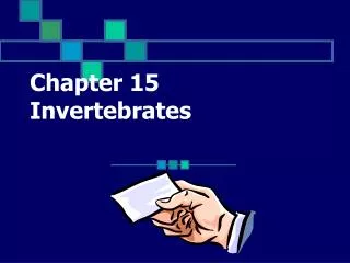 Chapter 15 Invertebrates