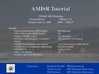 AMISR Tutorial