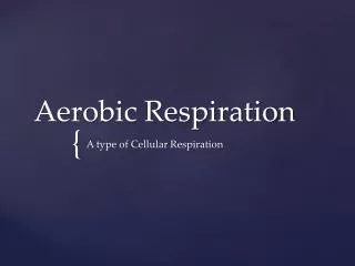 Aerobic Respiration