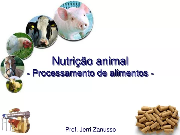 nutri o animal processamento de alimentos