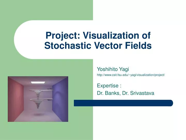 project visualization of stochastic vector fields