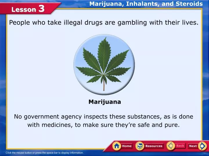 marijuana inhalants and steroids