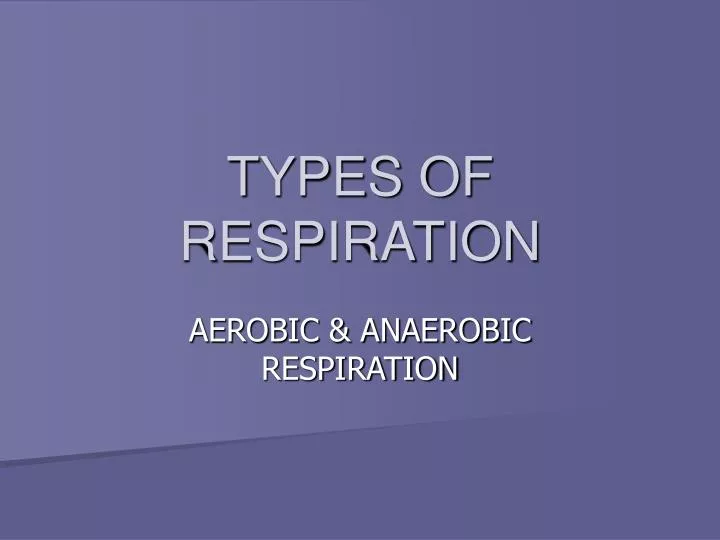 types of respiration