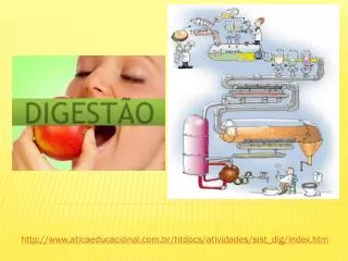 http www aticaeducacional com br htdocs atividades sist dig index htm