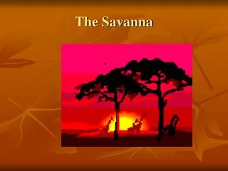 The Savanna