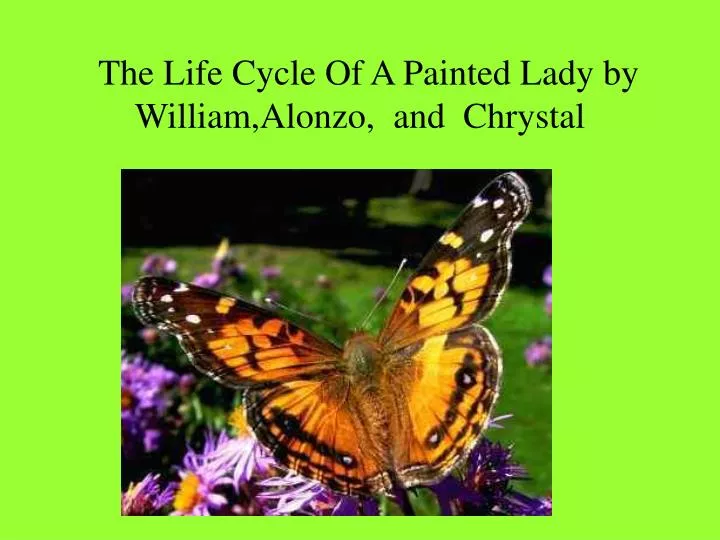 the life cycle of a painted lady by william alonzo and chrystal