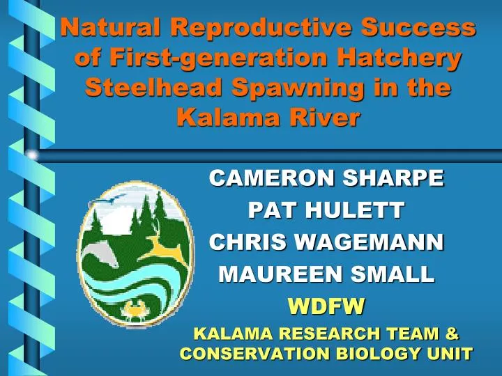 natural reproductive success of first generation hatchery steelhead spawning in the kalama river