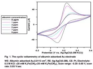 Fig 1. The cyclic voltammetry of albumin adsorbed Au electrode