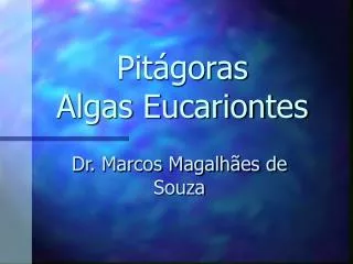 pit goras algas eucariontes