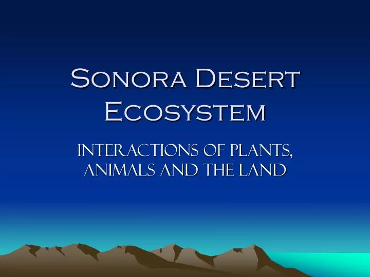sonora desert ecosystem