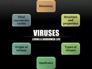 Viruses Living a borrowed life