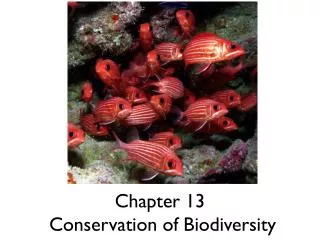 Chapter 13 Conservation of Biodiversity