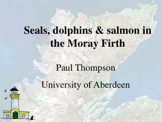Seals, dolphins &amp; salmon in the Moray Firth