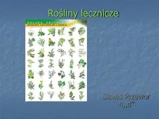 ro liny lecznicze