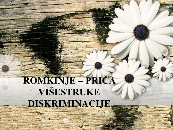 romkinje pri a vi estruke diskriminacije