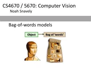 Bag-of-words models