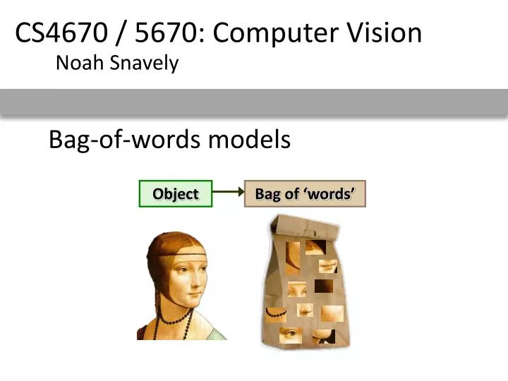 bag of words models