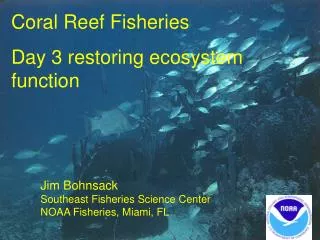 Coral Reef Fisheries Day 3 restoring ecosystem function