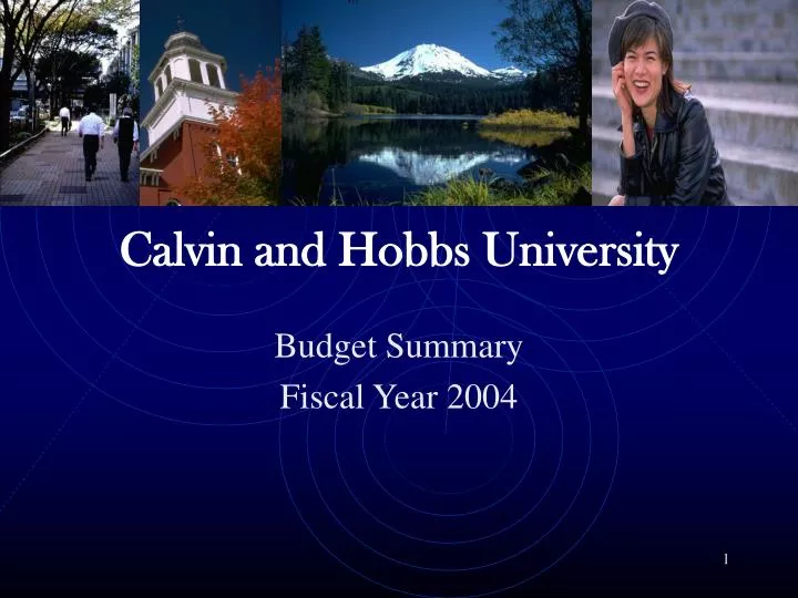 calvin and hobbs university