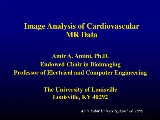 Image Analysis of Cardiovascular MR Data