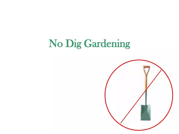 no dig gardening