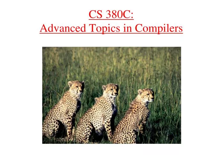 cs 380c advanced topics in compilers