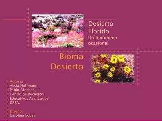 bioma desierto