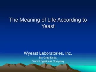 The Meaning of Life According to Yeast