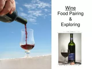 Wine Food Pairing &amp; Exploring