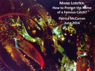 Maine Lobster : How to Protect the Name of a Famous Catch? Patrice McCarron June 2014
