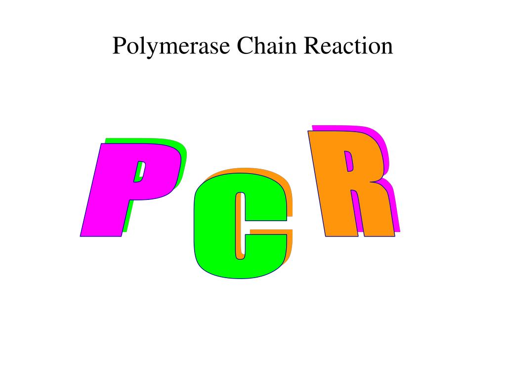 PPT - Polymerase Chain Reaction PowerPoint Presentation, free download ...