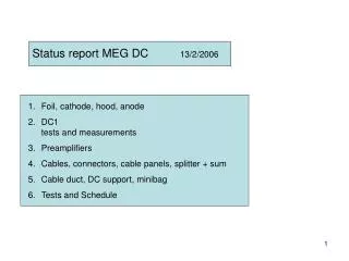 Status report MEG DC 13/2/2006
