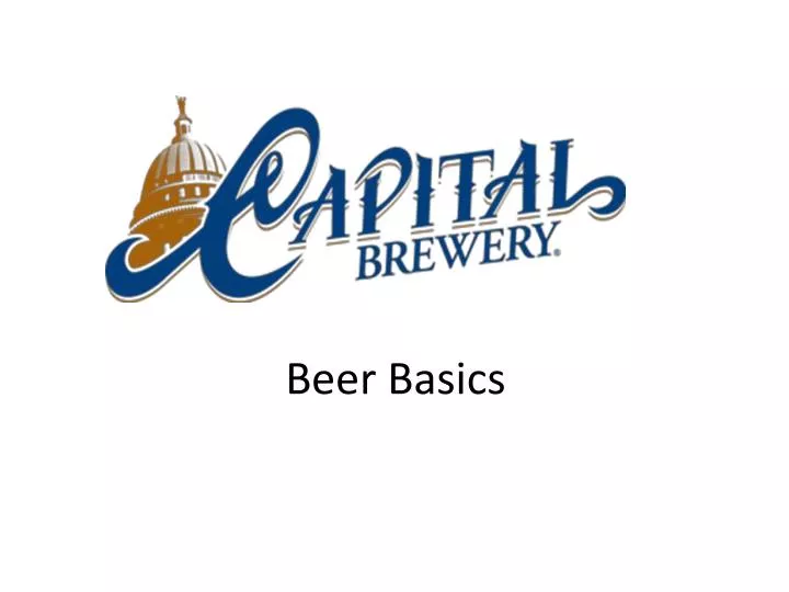 beer basics