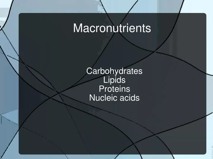 carbohydrates lipids proteins nucleic acids