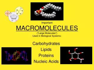 PPT - Biological Macromolecules PowerPoint Presentation, free download ...