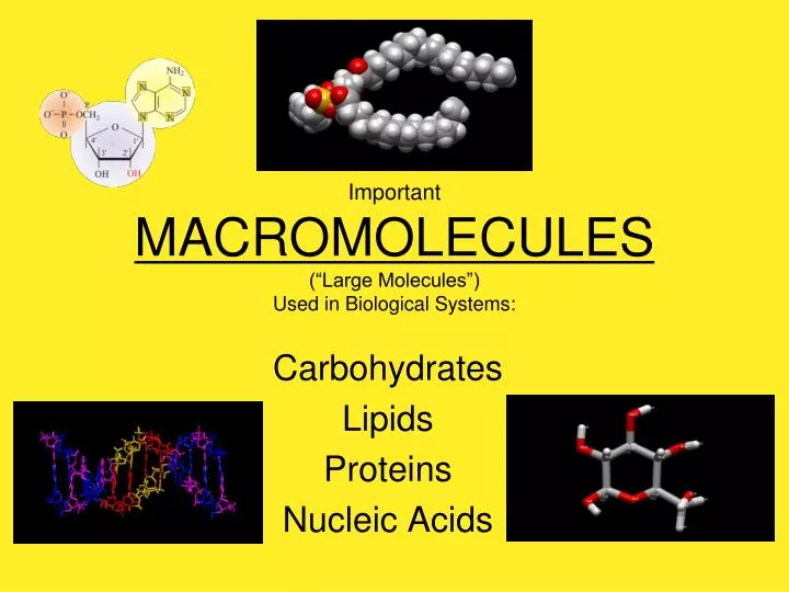 important macromolecules large molecules used in biological systems
