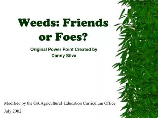 Weeds: Friends or Foes?