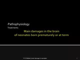 Main damages in the brain of neonates born prematurely or at term