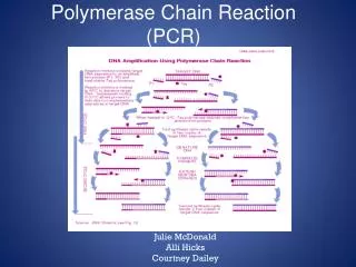 Polymerase Chain Reaction (PCR)