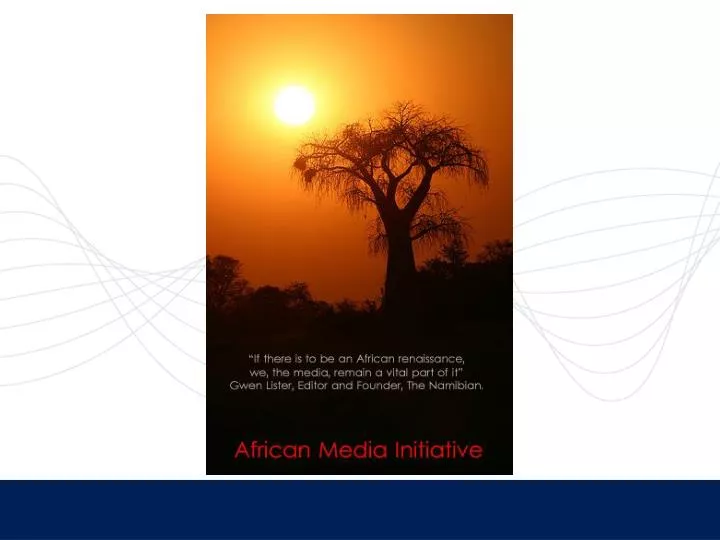 african media initiative