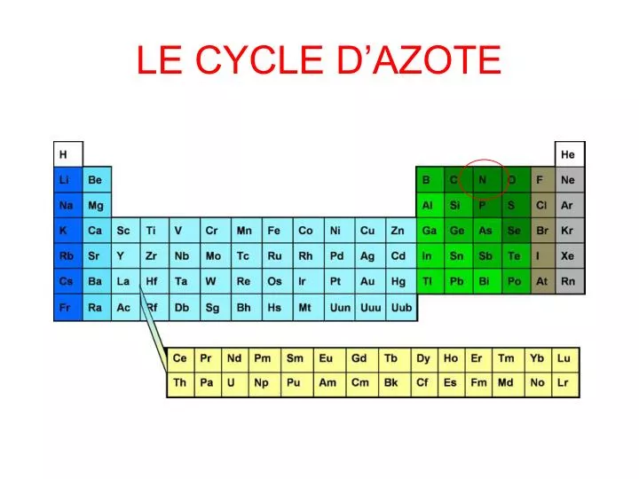 le cycle d azote