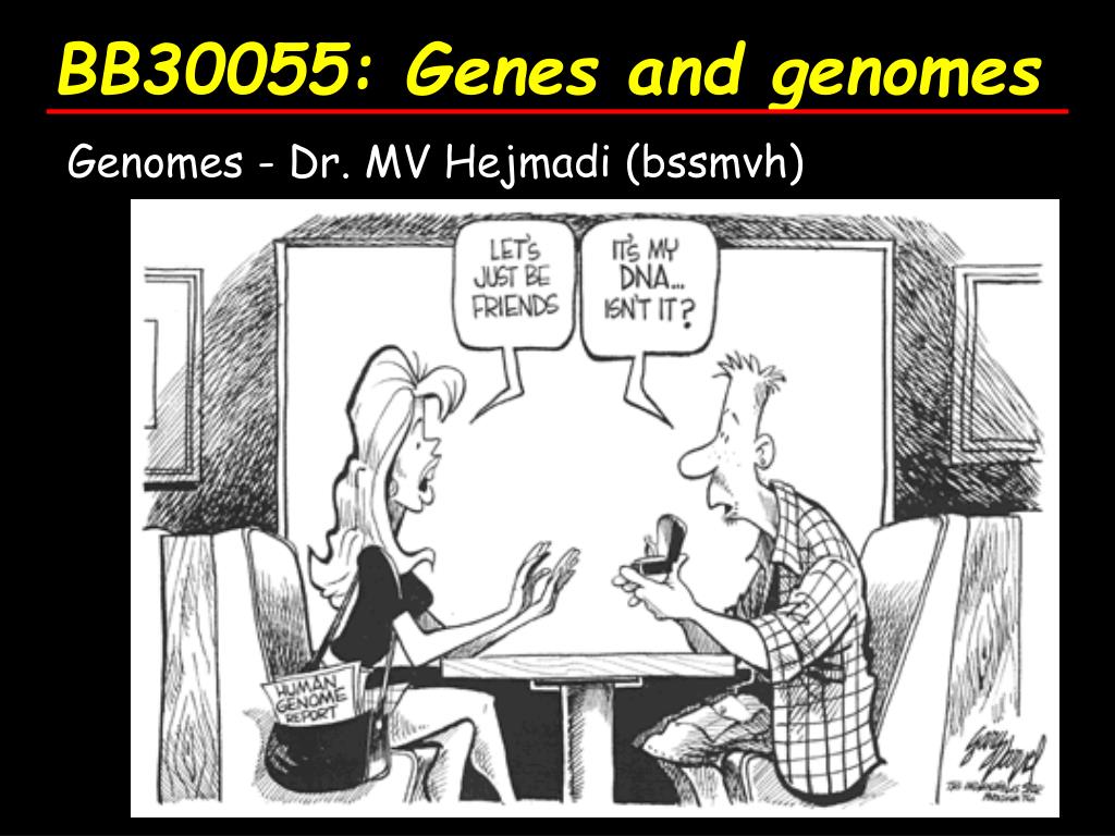 PPT - BB30055: Genes and genomes PowerPoint Presentation, free download ...