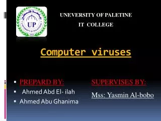 computer viruses