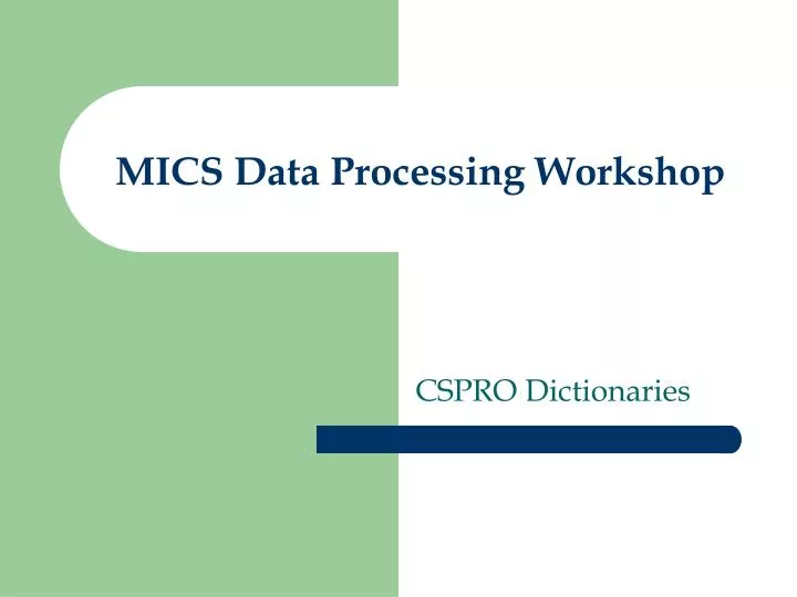 mics data processing workshop